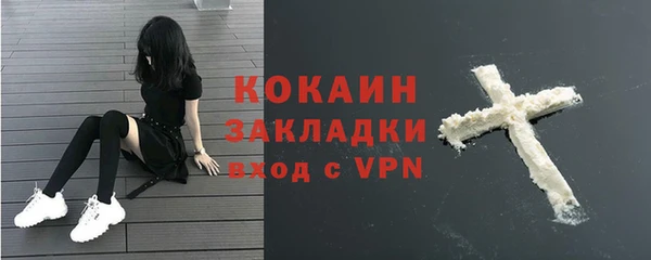 твердый Нея