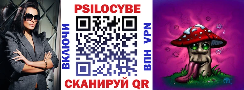 Галлюциногенные грибы Psilocybe  Купить закладки  Курлово 